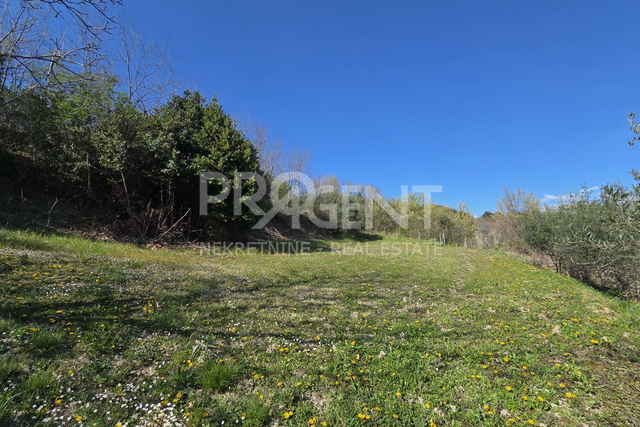 ISTRA, BUZET, SVETI DONAT, GRAĐEVINSKO ZEMLJIŠTE, PRODAJE SE