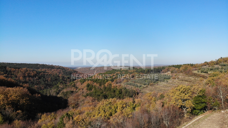 Istrien / Grožnjan, Baugrundstück mit Blick auf Grožnjan