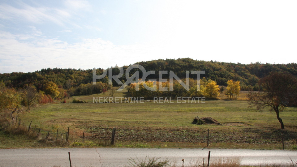 Land, 3500 m2, For Sale, Lupoglav - Lesišćina