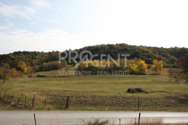 Land, 3500 m2, For Sale, Lupoglav - Lesišćina