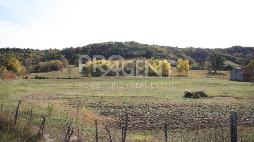 Land, 3500 m2, For Sale, Lupoglav - Lesišćina