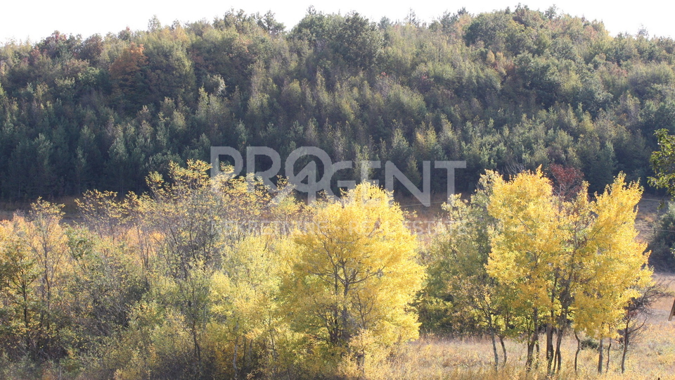 Land, 3500 m2, For Sale, Lupoglav - Lesišćina