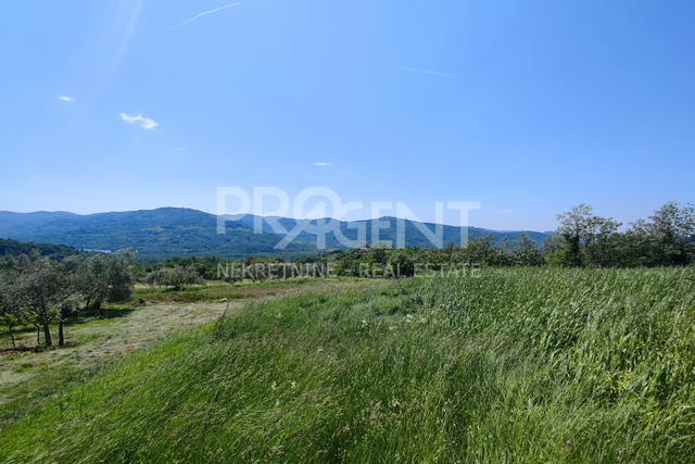 Land, 3848 m2, For Sale, Buzet - Vrh