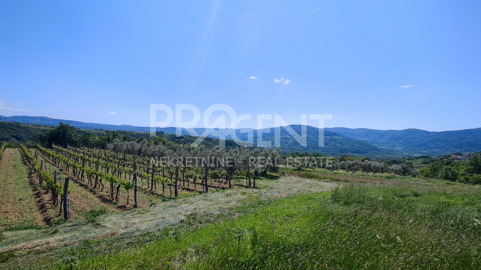 ISTRIA, VRH, BUILDING LAND FOR SALE