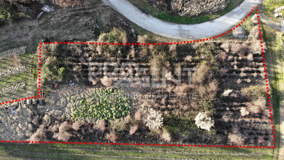 ISTRIA, SOVINJAK, BUILDING LAND, FOR SALE