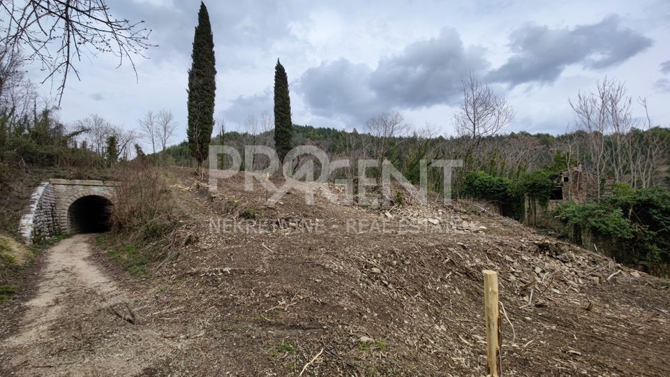 Land, 7458 m2, For Sale, Grožnjan