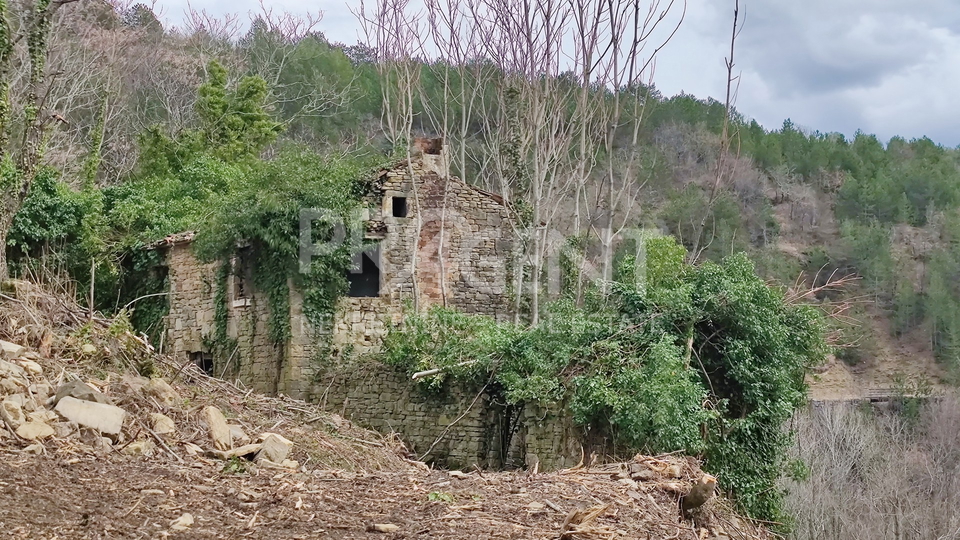 Land, 7458 m2, For Sale, Grožnjan