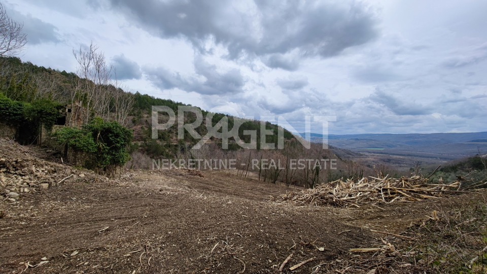 Land, 7458 m2, For Sale, Grožnjan