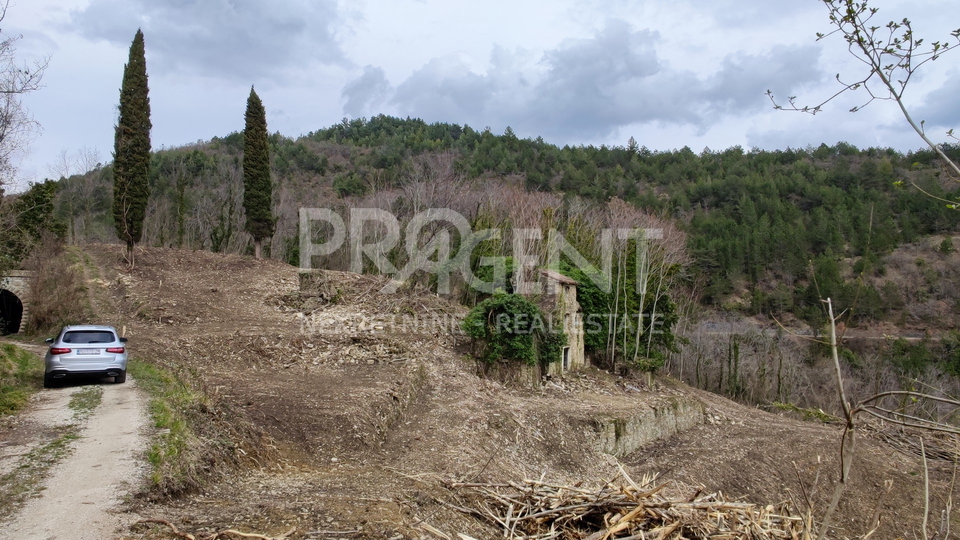 Land, 7458 m2, For Sale, Grožnjan