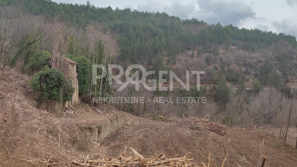 Land, 7458 m2, For Sale, Grožnjan