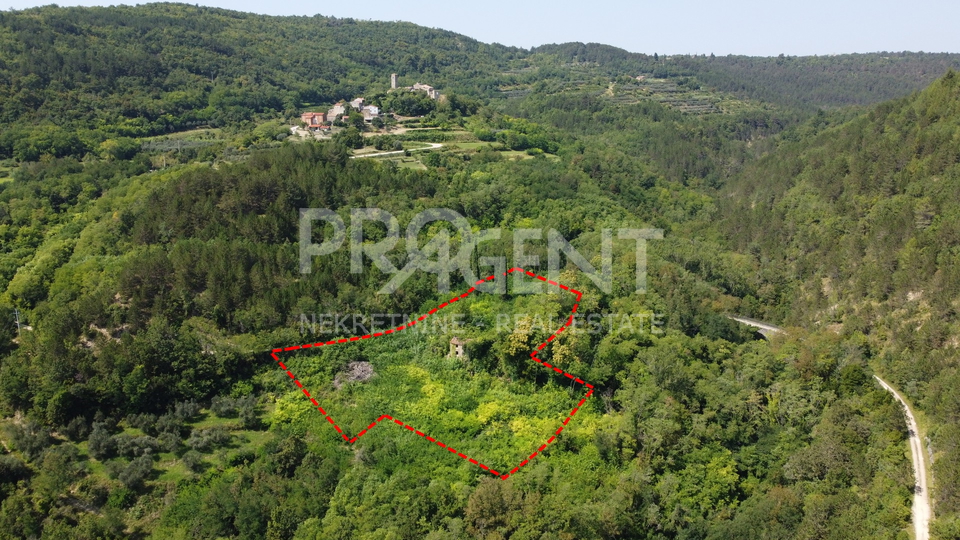 Land, 7458 m2, For Sale, Grožnjan