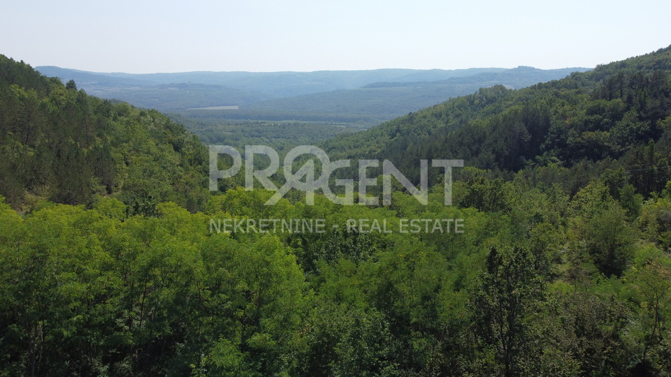 Land, 7458 m2, For Sale, Grožnjan