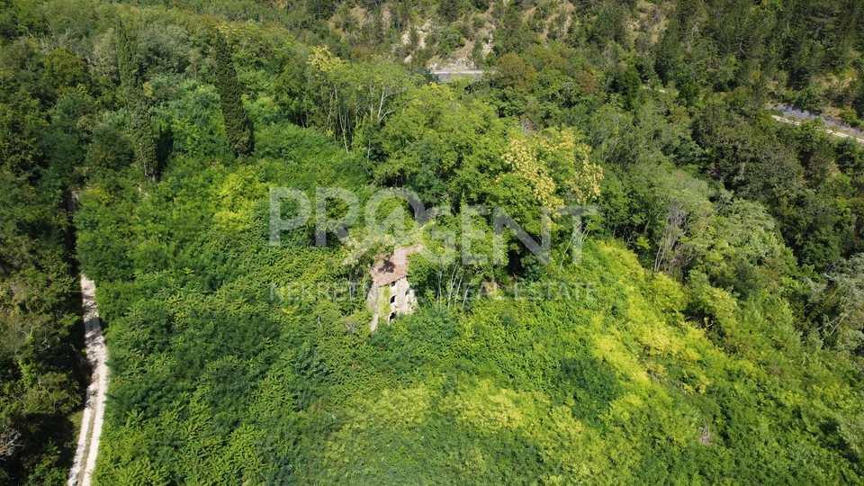 Land, 7458 m2, For Sale, Grožnjan