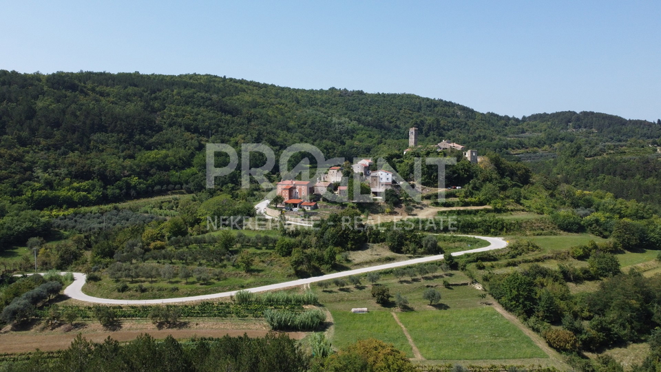 Land, 7458 m2, For Sale, Grožnjan