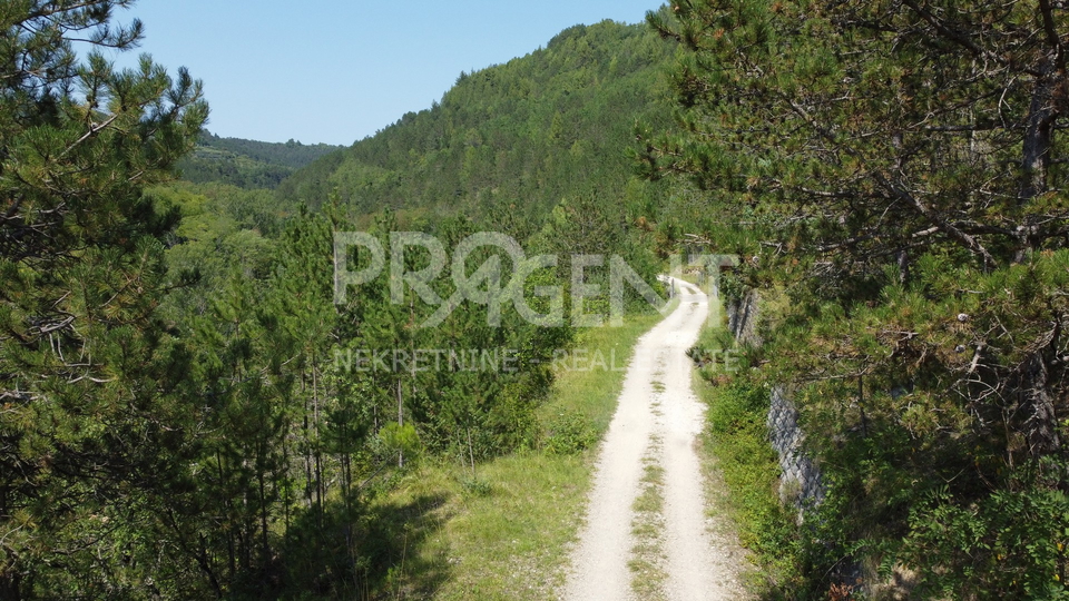 Land, 7458 m2, For Sale, Grožnjan