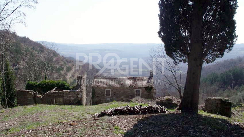 Land, 7458 m2, For Sale, Grožnjan