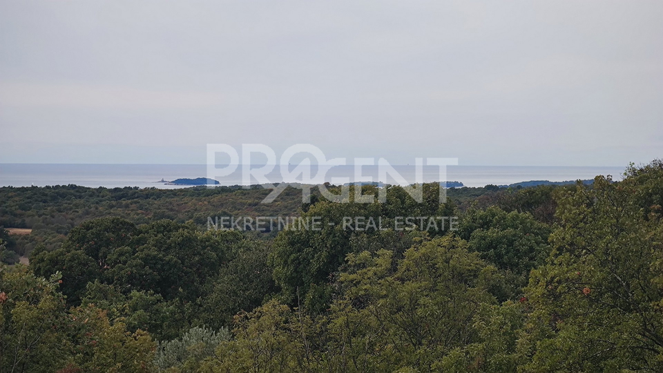 ISTRIA, BALE, VILLA WITH SEA VIEW, FOR SALE