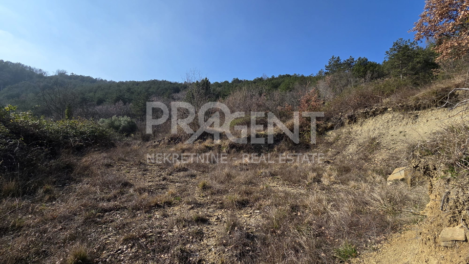 ISTRIA&comma; BUZET&comma; LAND WITH A BUILDING&comma; FOR SALE