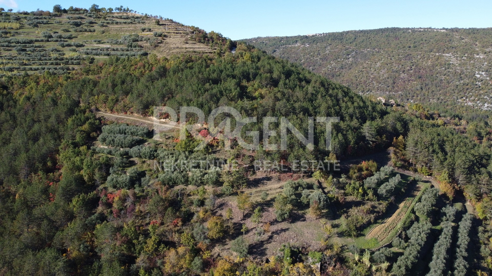 Land, 2267 m2, For Sale, Oprtalj - Ipši