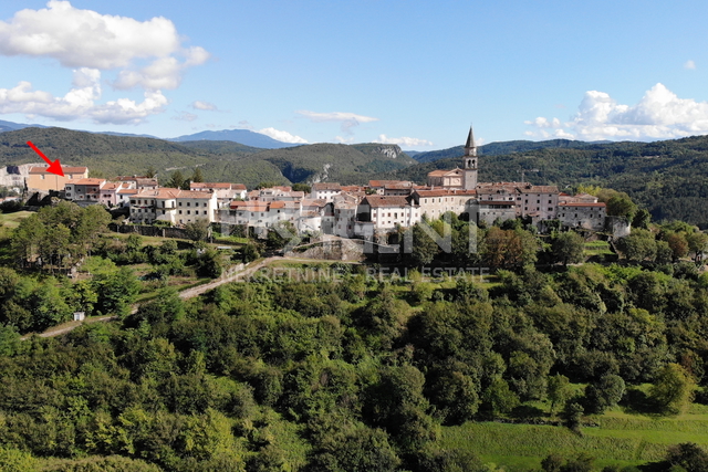 ISTRIA, BUZET, DECORATED STONE HOUSE, FOR SALE