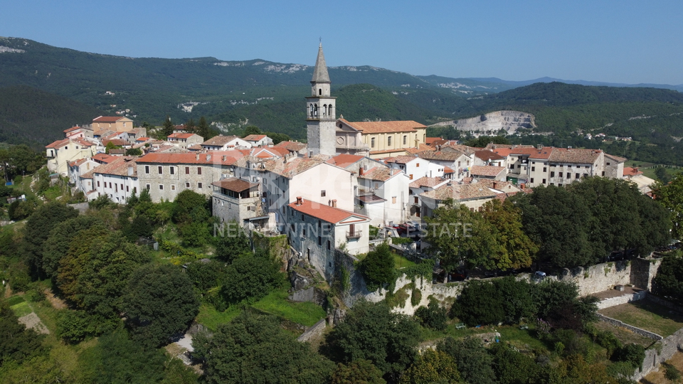 ISTRIA, BUZET, DECORATED STONE HOUSE, FOR SALE