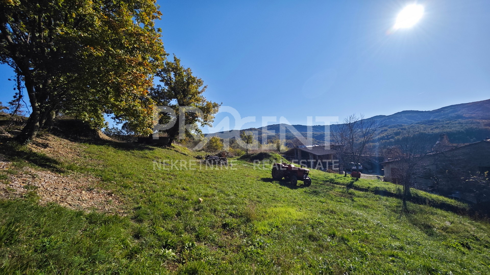 Land, 730 m2, For Sale, Draguć