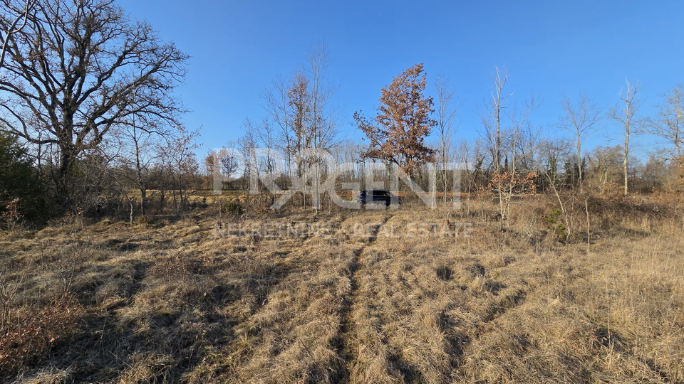 ISTRA&comma; ZAVR&Scaron;JE&comma; GRA&Dstrok;EVINSKO ZEMLJI&Scaron;TE&comma; PRODAJE SE