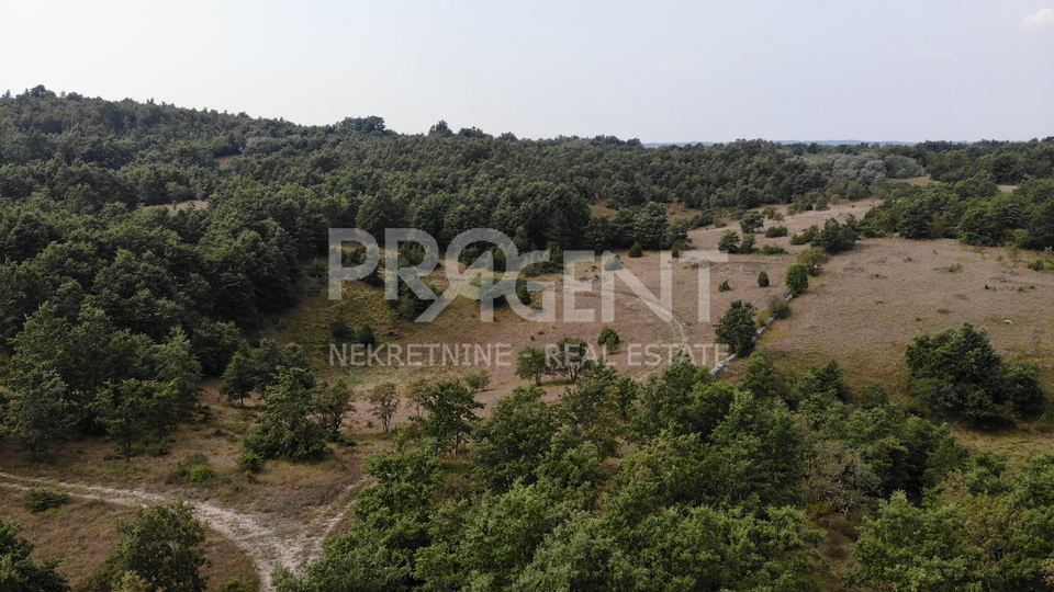 Terreno, 53534 m2, Vendita, Pazin