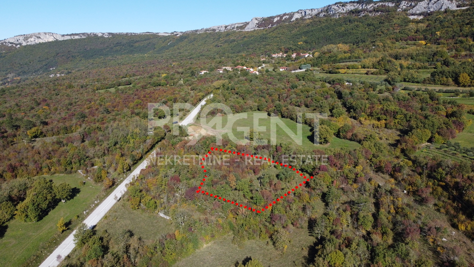 Terreno, 3306 m2, Vendita, Buzet