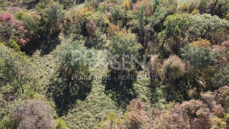 Terreno, 3306 m2, Vendita, Buzet