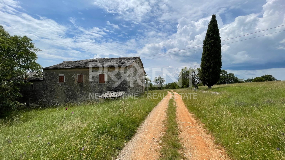 ISTRIA, OPRTALJ, STANCIJA WITH 9.8 ha OF LAND