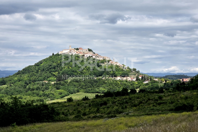 Land, 2181 m2, For Sale, Motovun - Brkač