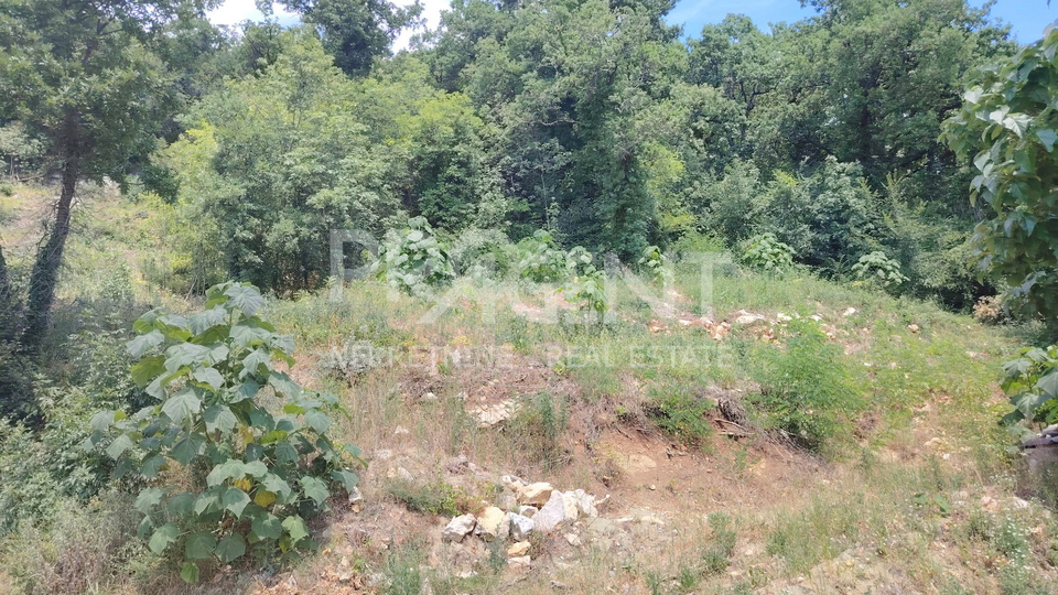 ISTRA, ROČ, BUILDING LAND, FOR SALE