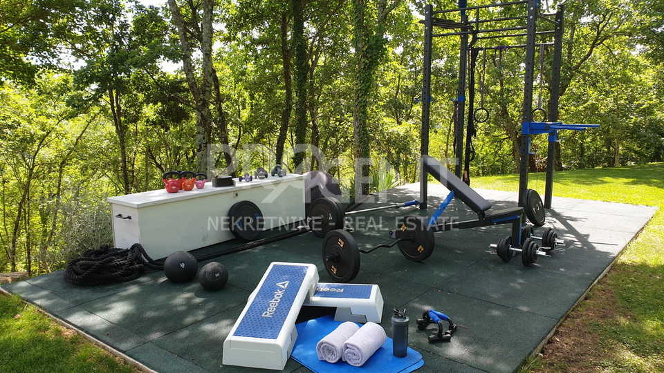 ISTRA, GROŽNJAN, KUĆA S BAZENOM, PRODAJE SE