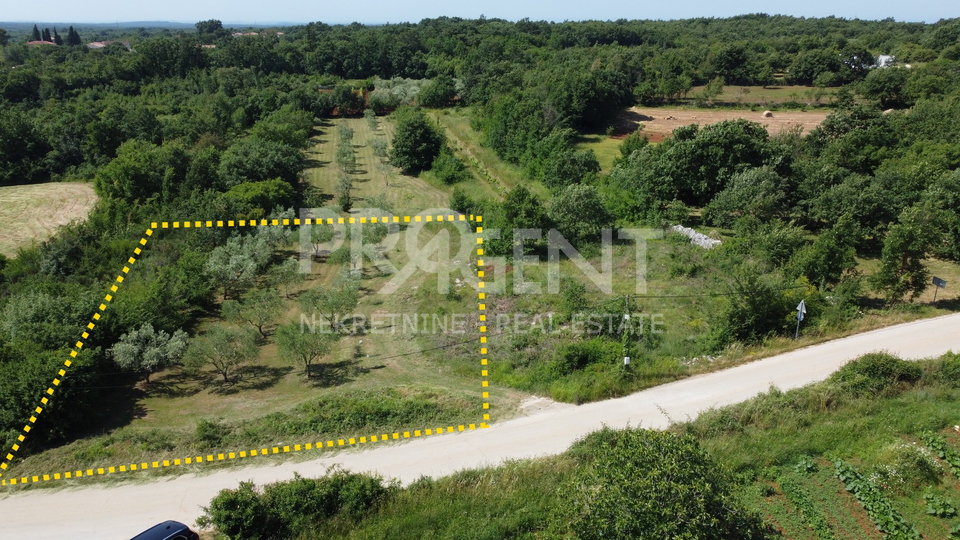 ISTRIA, DIVŠIĆI, BUILDING LAND, FOR SALE