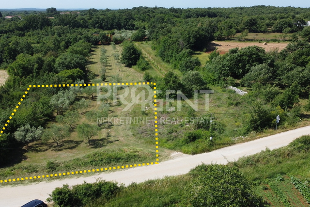 ISTRIA, DIVŠIĆI, BUILDING LAND, FOR SALE