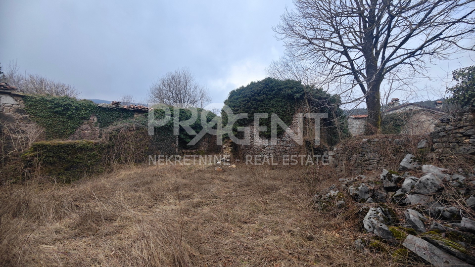 ISTRIA, DANE, STONE HOUSE FOR ADAPTATION, FOR SALE