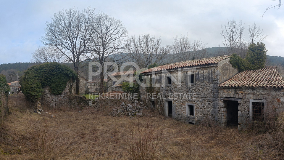 ISTRIA, DANE, STONE HOUSE FOR ADAPTATION, FOR SALE