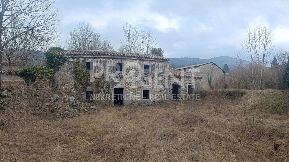 ISTRIA, DANE, STONE HOUSE FOR ADAPTATION, FOR SALE