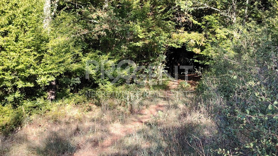 Rado&scaron;i bei Vi&scaron;njan &ndash; altes Steinhaus zur Renovierung mit fast 1 ha Land&comma; absolute Ruhe&comma; 12 km vom Meer entfernt