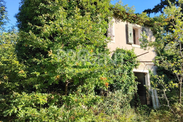 Radoši bei Višnjan – altes Steinhaus zur Renovierung mit fast 1 ha Land, absolute Ruhe, 12 km vom Meer entfernt