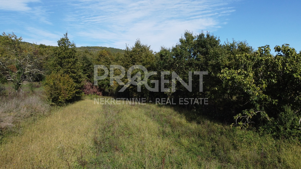 Istra&comma; okolica Buzeta &ndash; zemlji&scaron;te 1&period;673 m&sup2; s gra&dstrok;evinskim dijelom&comma; u zoni bijelog i crnog tartufa