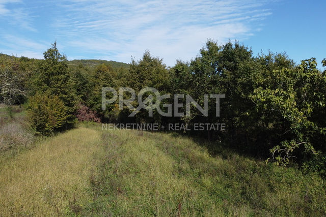 Istra, okolica Buzeta – zemljište 1.673 m² s građevinskim dijelom, u zoni bijelog i crnog tartufa