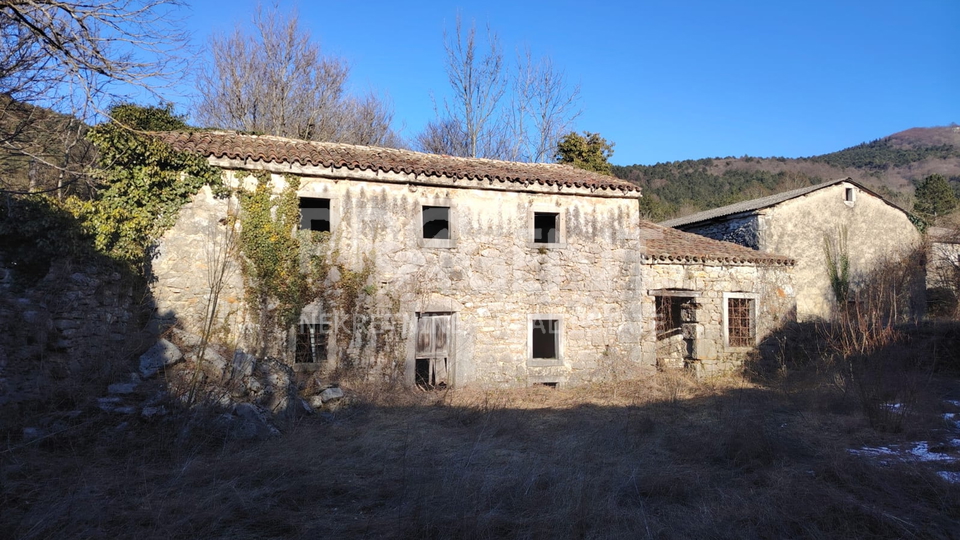 ISTRIA, DANE, STONE HOUSE FOR ADAPTATION, FOR SALE