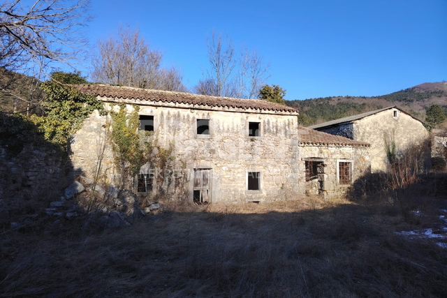 ISTRIA, DANE, STONE HOUSE FOR ADAPTATION, FOR SALE