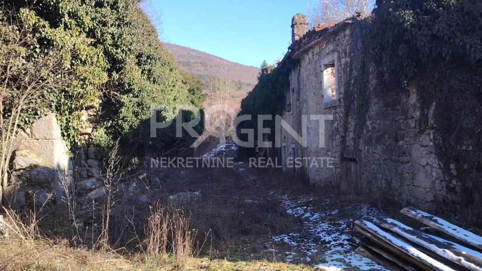 ISTRIA, DANE, STONE HOUSE FOR ADAPTATION, FOR SALE