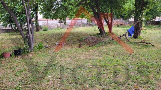 SELCE - Dvije kuće, 30 m do mora