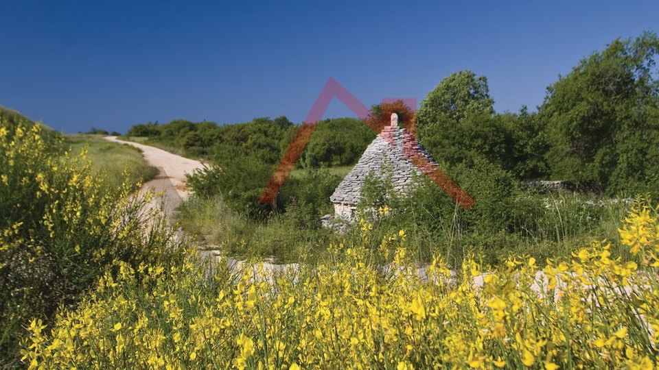 BATLUG - casa in pietra con piscina ristrutturata in moderno stile istriano