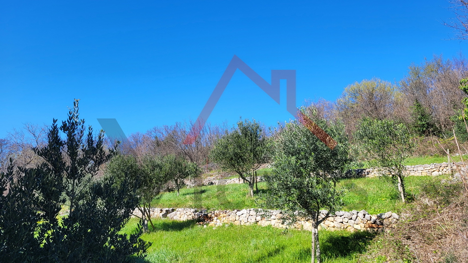CRIKVENICA - House with sea view