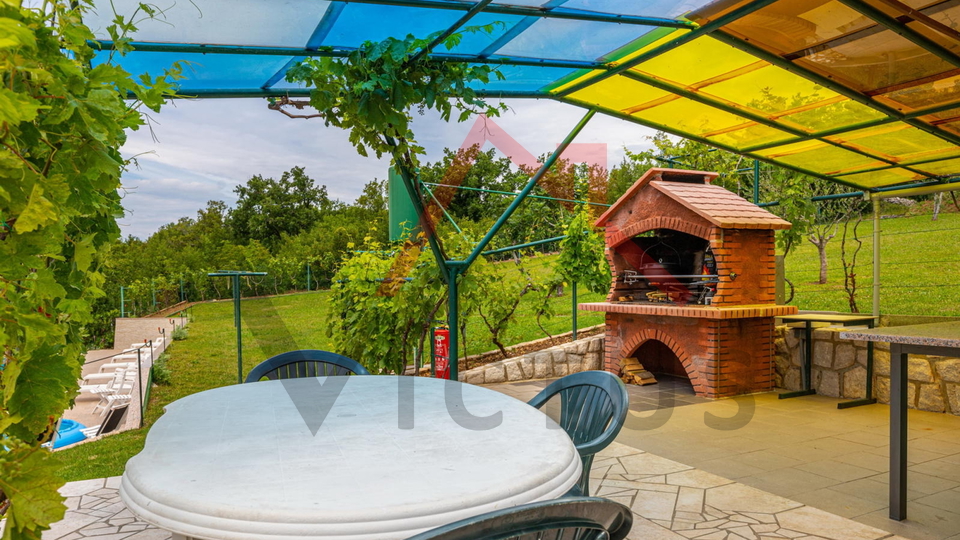 CRIKVENICA - Two houses with a swimming pool and an olive grove